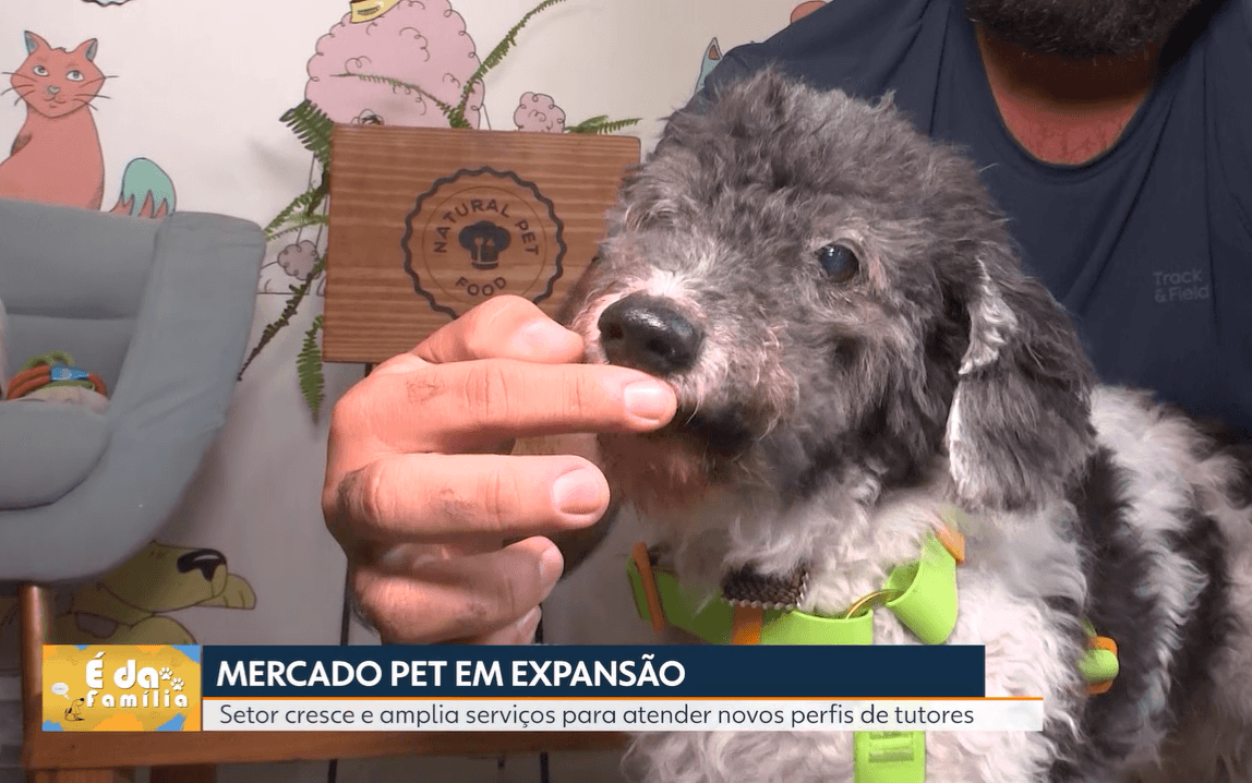 De companheiros a prioridade, como os pets estão transformando o mercado