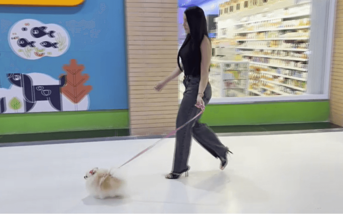 Onde sair com seu pet em João Pessoa: cidade amplia espaços pet friendly