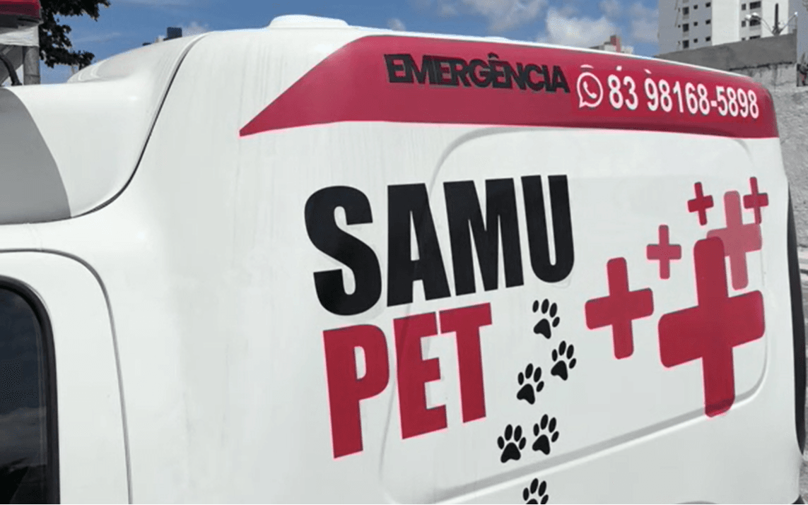 João Pessoa já tem SAMU PET para emergências com animais