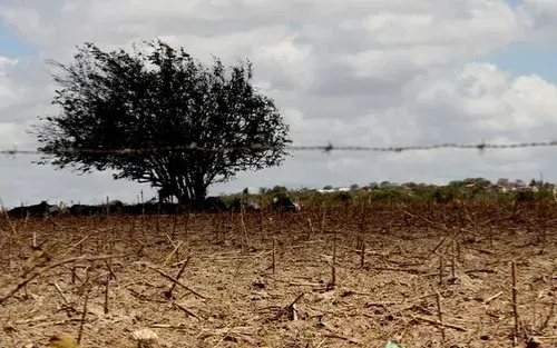 Lá Vem o Enem divulga quarto tema para correção gratuita de redação; confira